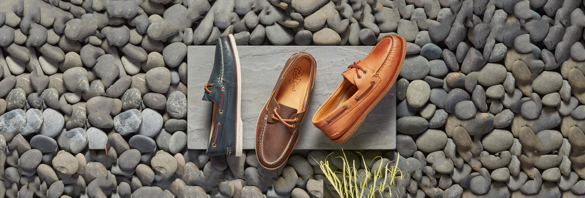 sperry shoes