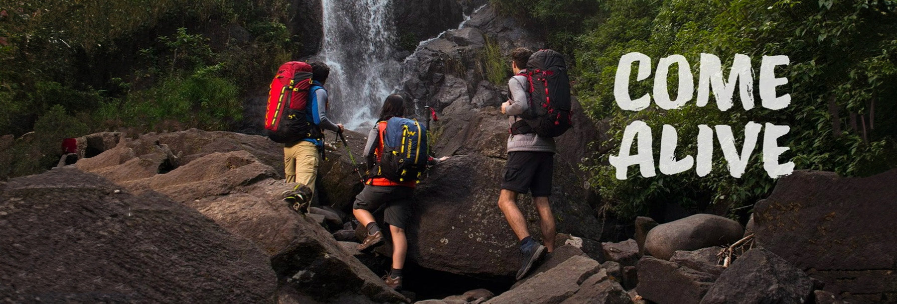 wildcraft bags
